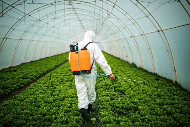 Best Affordable Pest Control Services  in Totowa, NJ