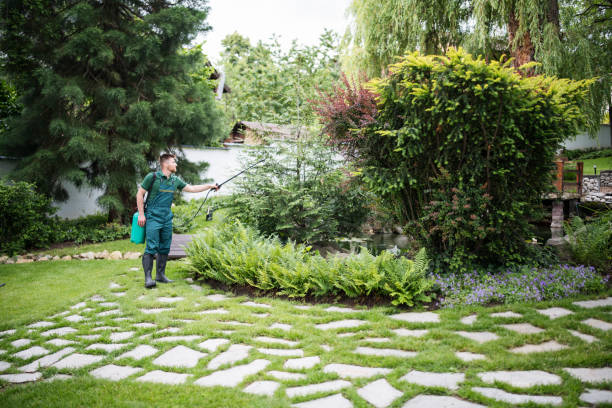 Best Bird Control  in Totowa, NJ