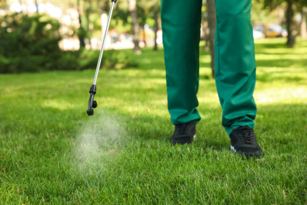 Best Spider Control Near Me  in Totowa, NJ