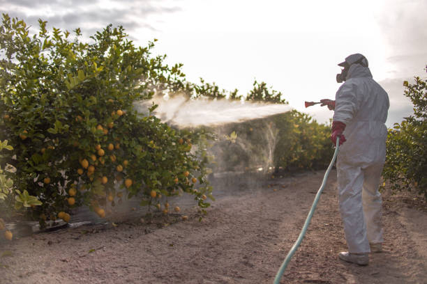 Best Best Pest Control Companies  in Totowa, NJ