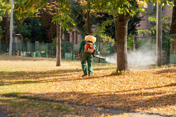 Bird Control in Totowa, NJ
