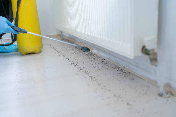 Pest Control for Restaurants in Totowa, NJ