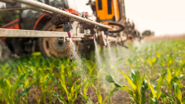 Best Ant Control Services  in Totowa, NJ